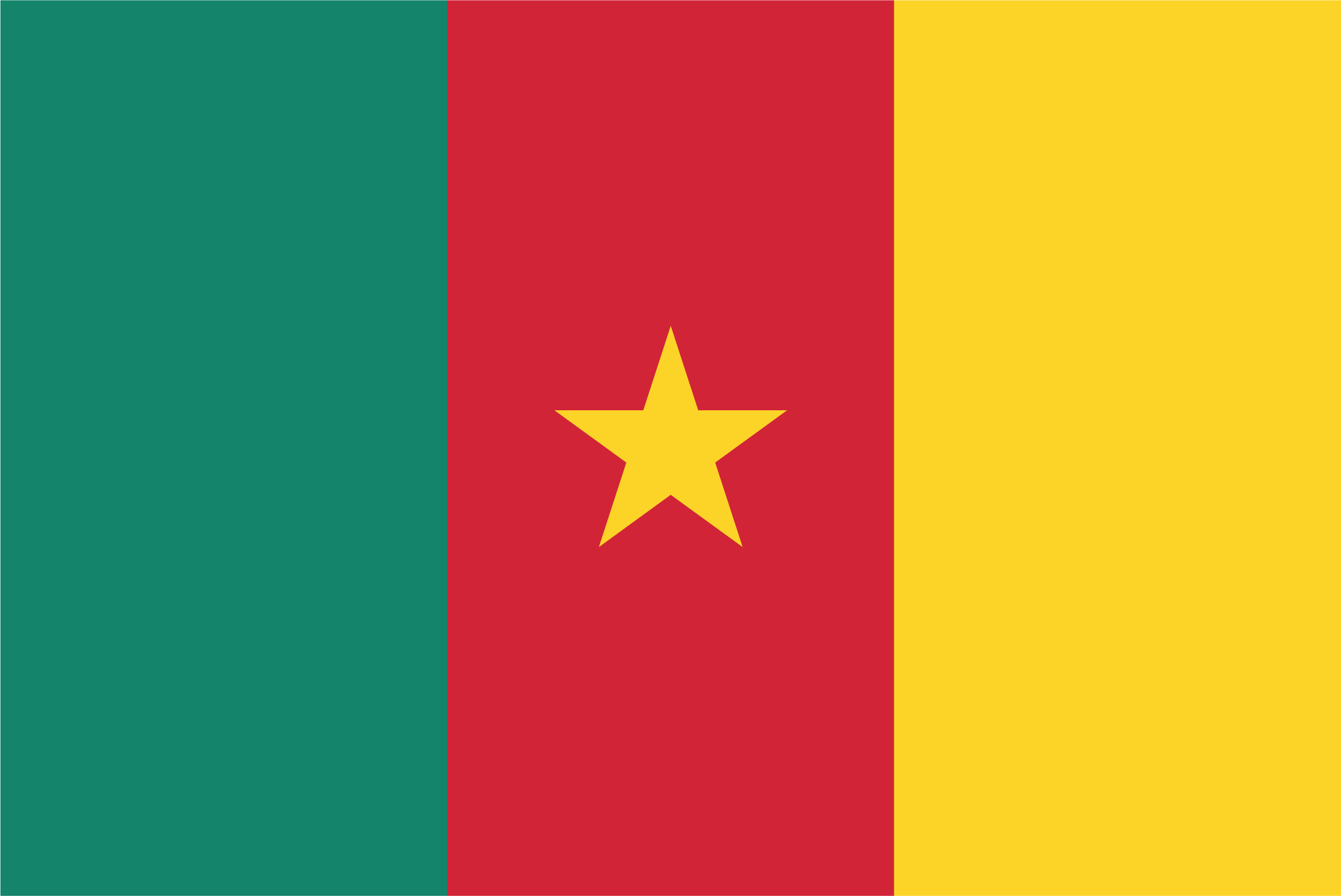Cameroon flag