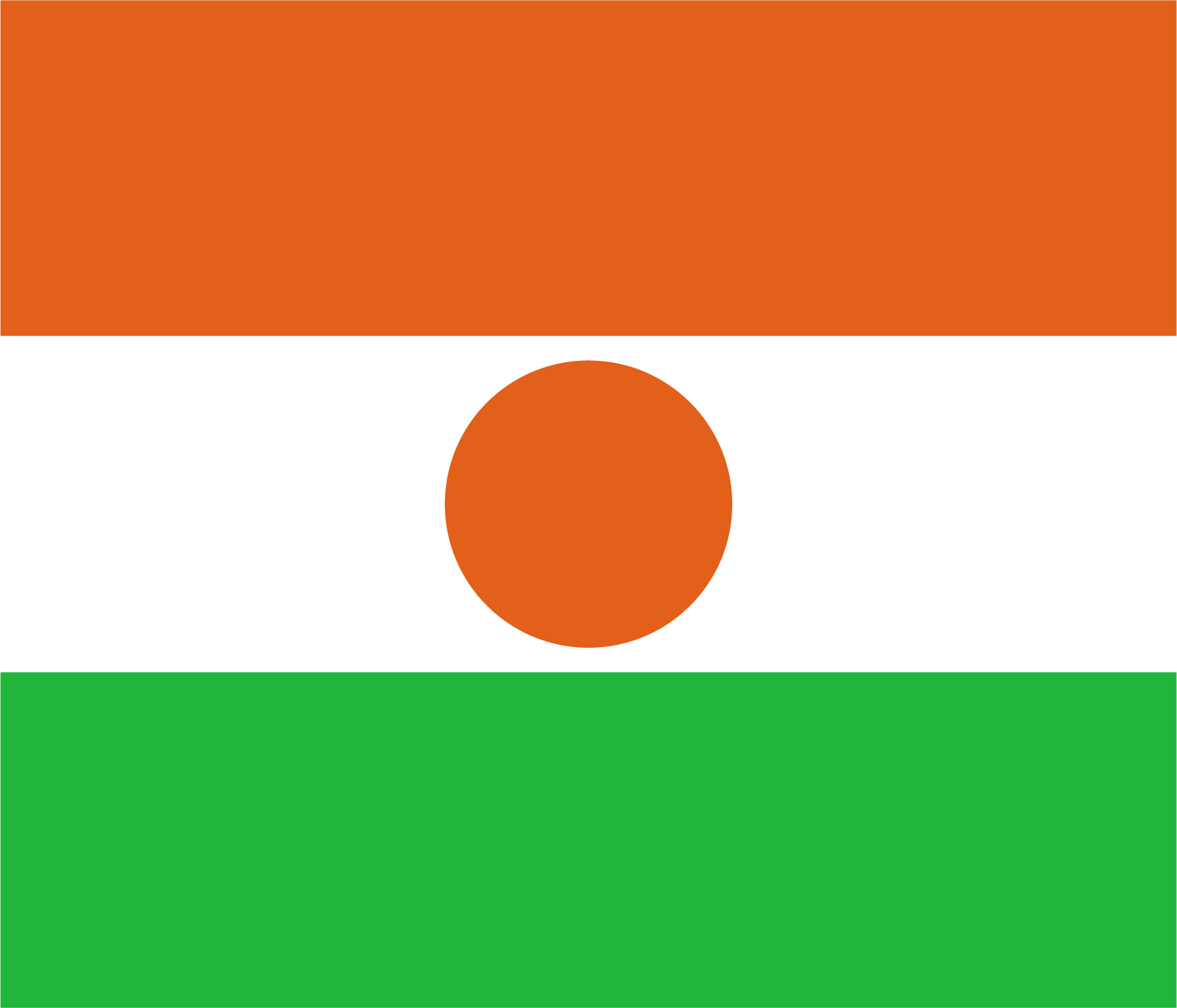 Niger flag