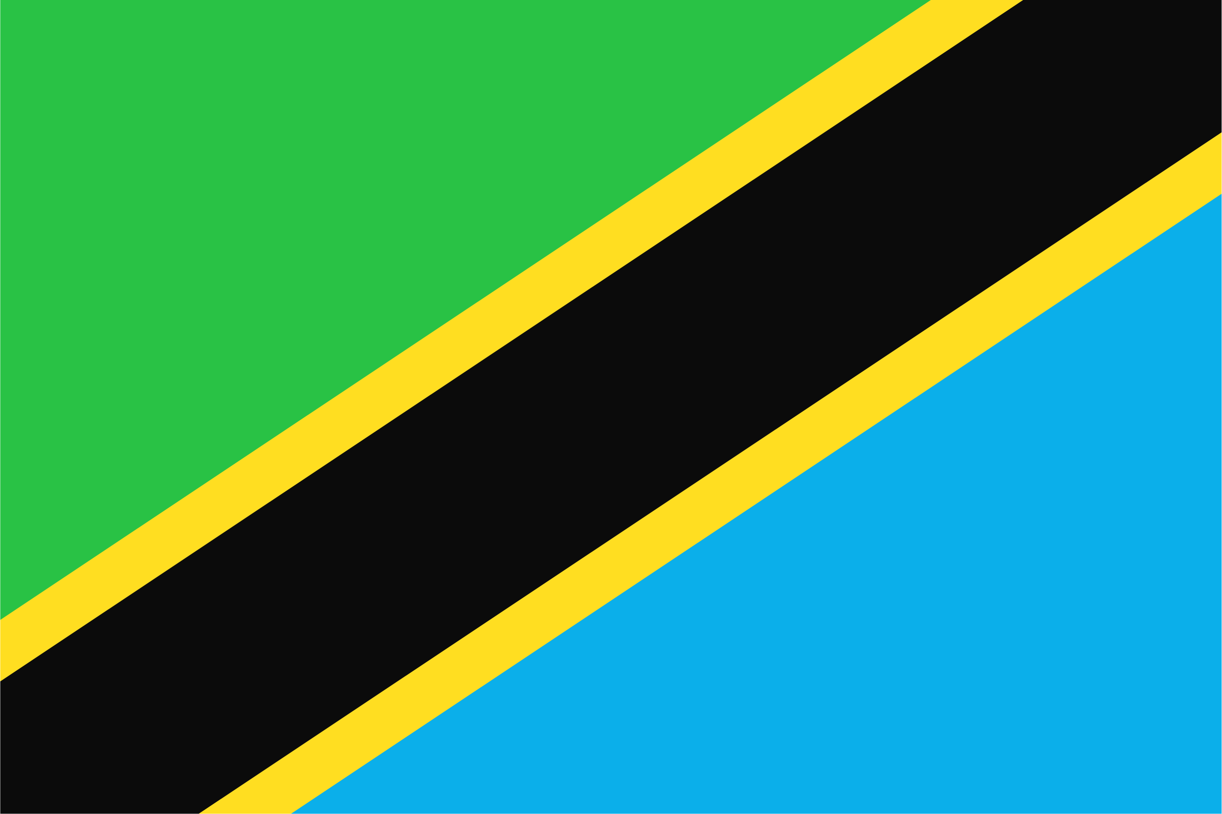 Tanzania flag