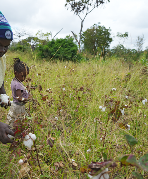 Dorcas picking cotton in Kenya