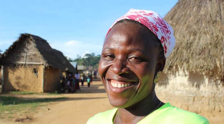 guinea-
