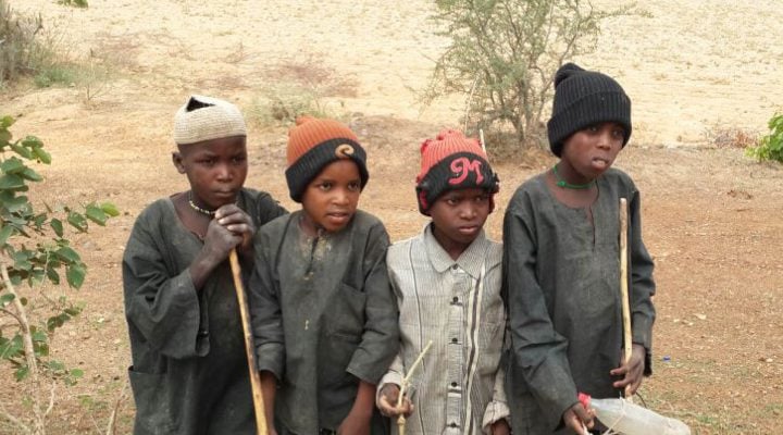 niger-2