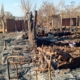 Burnt down houses in Napala Village in Mozambique
