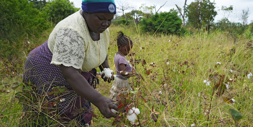 Dorcas picking cotton in Kenya